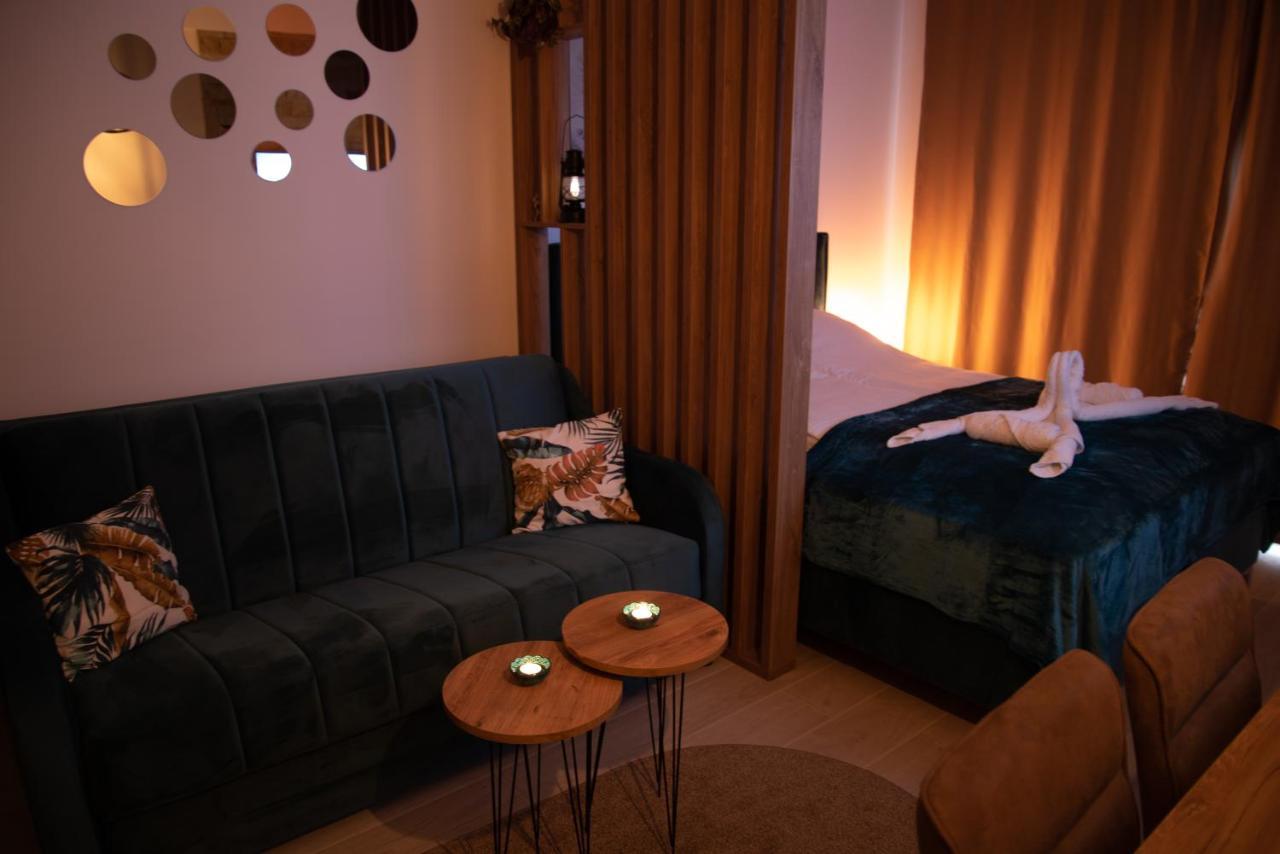 Apartman Larisa Копаоник Екстериор снимка